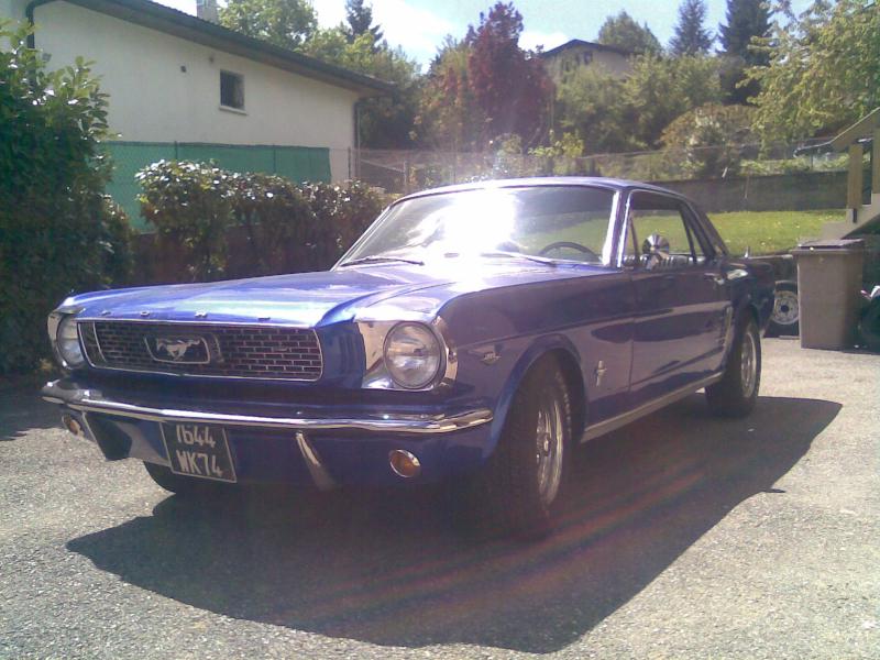 Stang 3.jpg